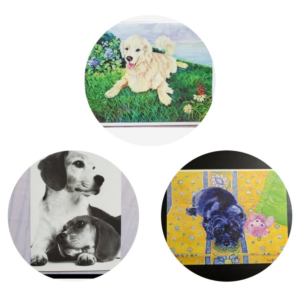 3 Greeting Cards for Dog lovers